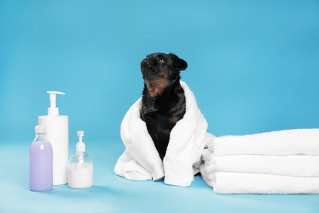 Accesorios de higiene y limpieza